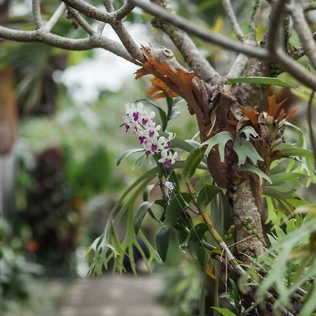 Green Taman Ubud By Prasi المظهر الخارجي الصورة