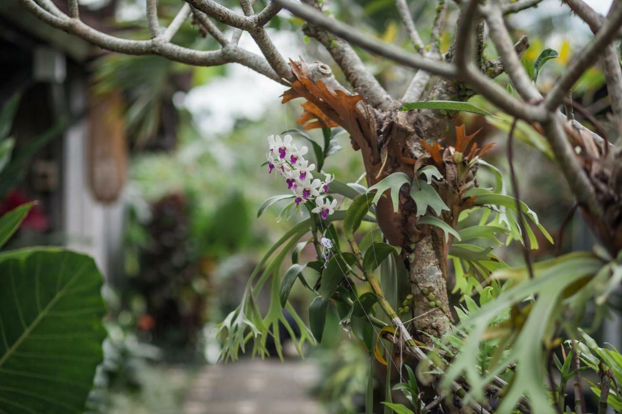 Green Taman Ubud By Prasi المظهر الخارجي الصورة